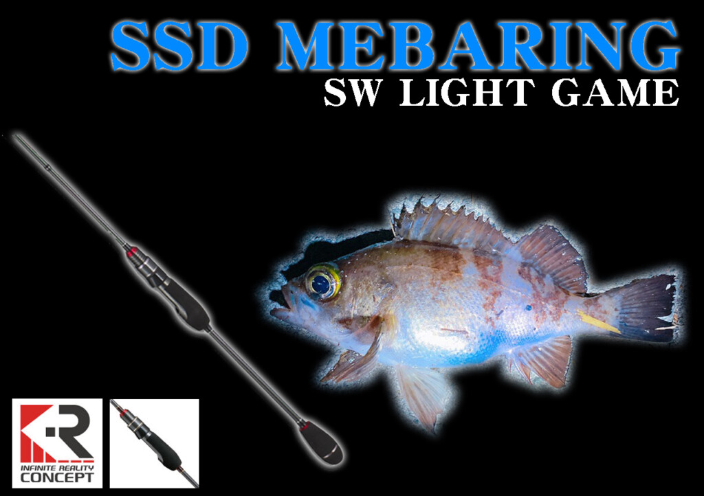 約2万円のメバリングロッド！ライトゲームで大活躍！テイルウォークの