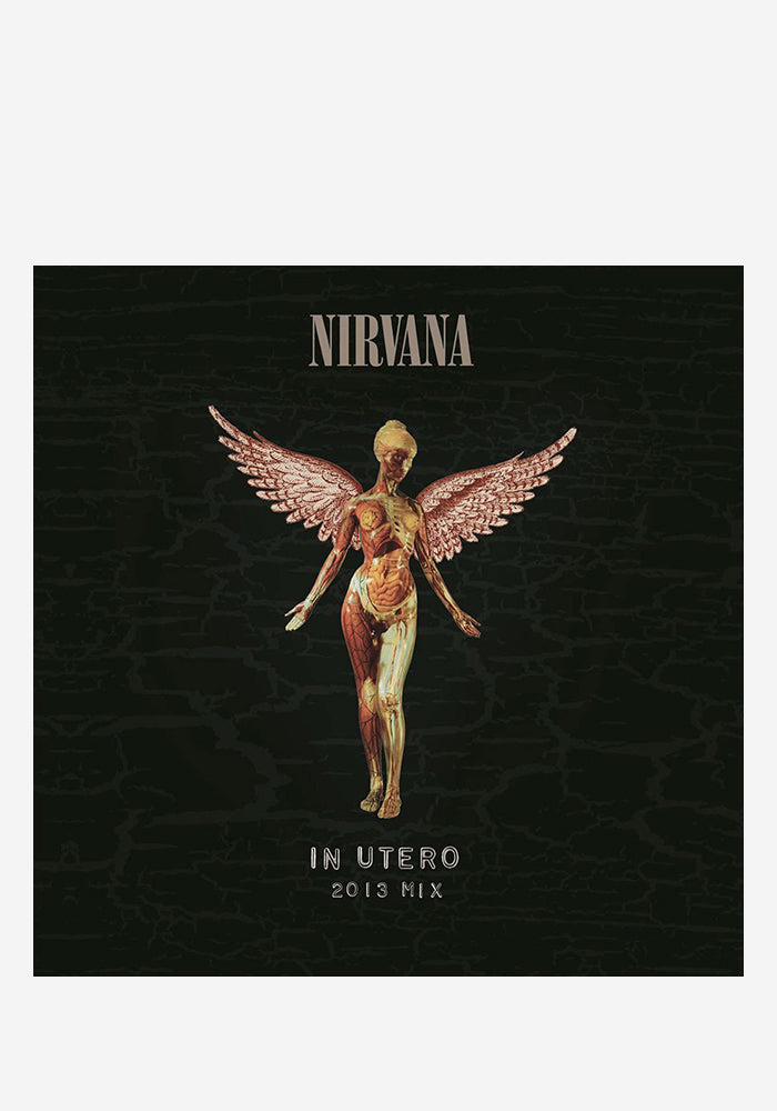 Nirvana-In Utero 20th Anniversary 2LP Vinyl | Newbury Comics