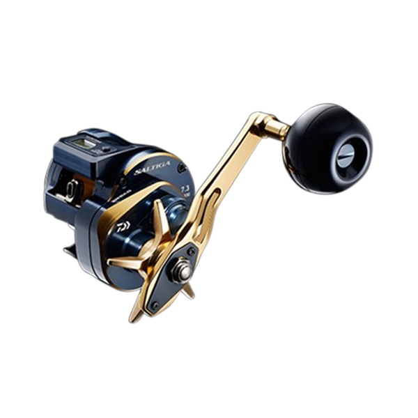 ダイワ(Daiwa) 21SALTIGA(ソルティガ) IC 300L 左巻き 00631505