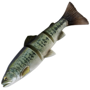 797_1.jpg?20250321164236