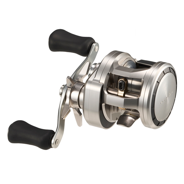 ダイワ(Daiwa) 26リョウガ SV 100P 右巻き 00630140｜アウトドア用品