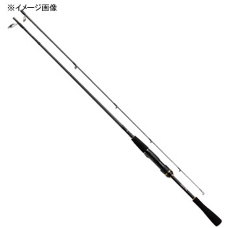 ダイワ(Daiwa) ソルティスト BS 66ML 01474871｜アウトドア用品・釣り