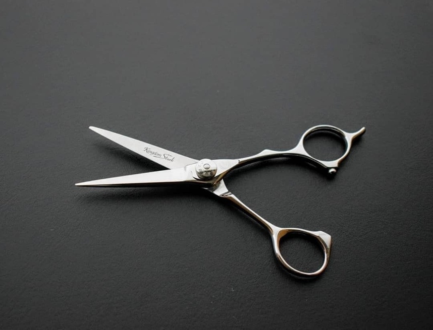 2019 TOP3カットシザーズ編 | カットシザーズ | 美容鋏(ハサミ)・理容