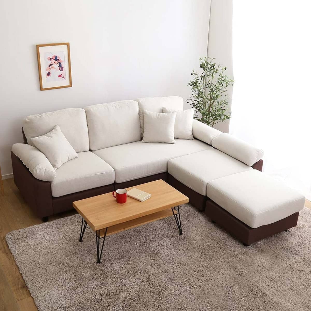 569008001.jpg?ts=20260105081233422