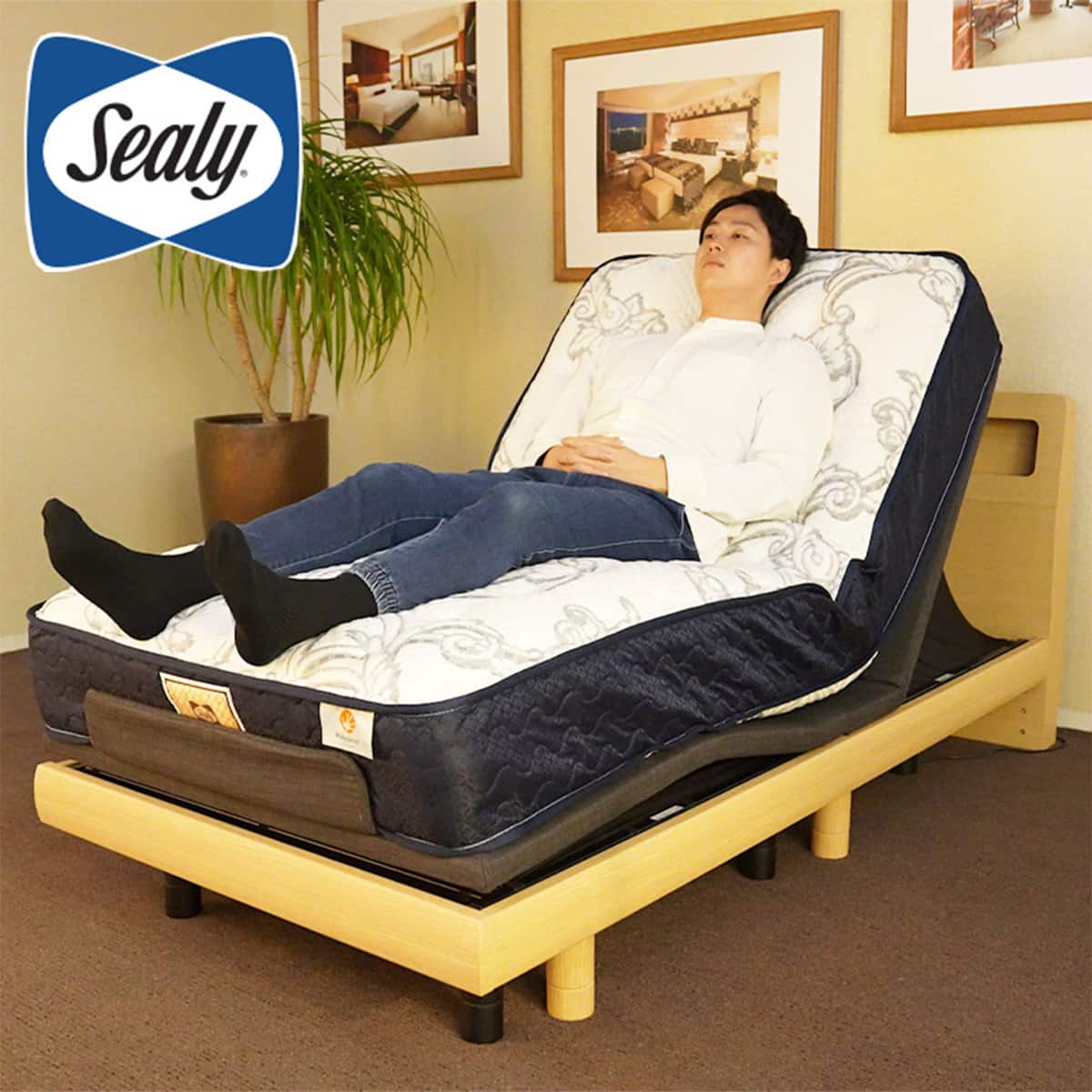 シーリーシングルマットレス(SL-6950) | ニトリネット【公式】 家具