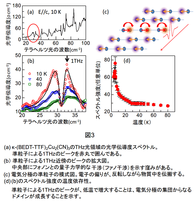プレスリリース | テラヘルツ光で電気分極の量子波の観測に成功 | NICT