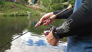 TROUTIN' SPIN FIELDREAM NEUE LIMITED