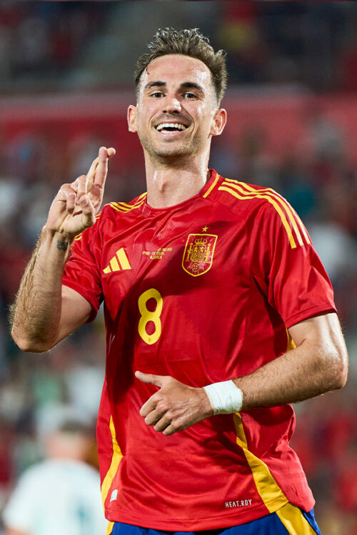 ファビアン・ルイス | サッカーキング