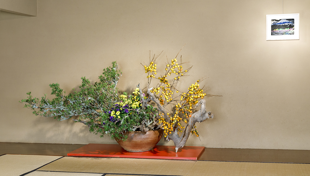 草月会館 今週の日本間（作家：狩野朱紅） | いけばな草月流