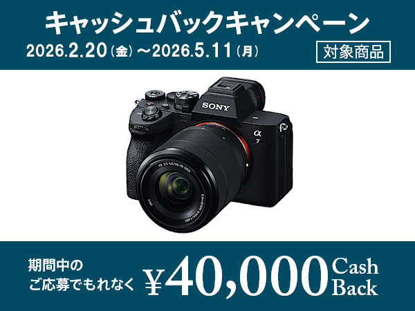 ILCE-7M4 購入 | デジタル一眼カメラ α：アルファ | ソニー