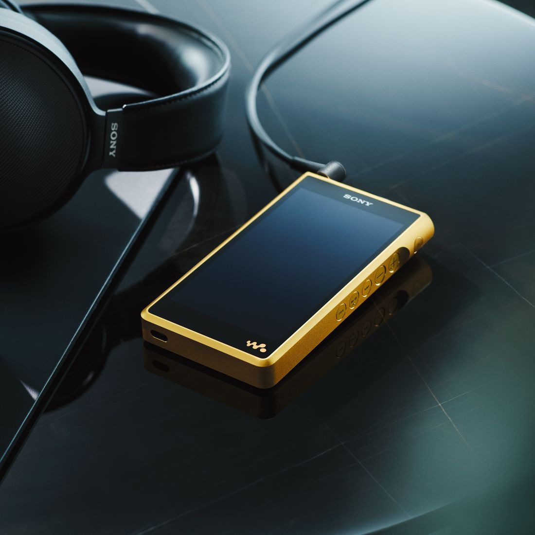 NW-WM1ZM2 購入 | ポータブルオーディオプレーヤー ウォークマン | ソニー