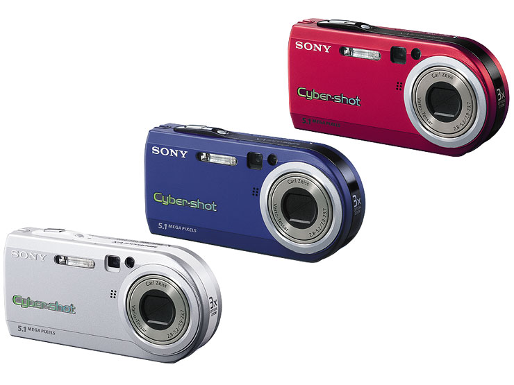 DSC-P100 対応商品・アクセサリー | デジタルスチルカメラ Cyber-shot