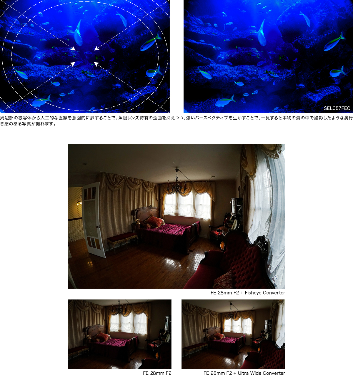 SEL057FEC 特長 | デジタル一眼カメラα（アルファ） | ソニー