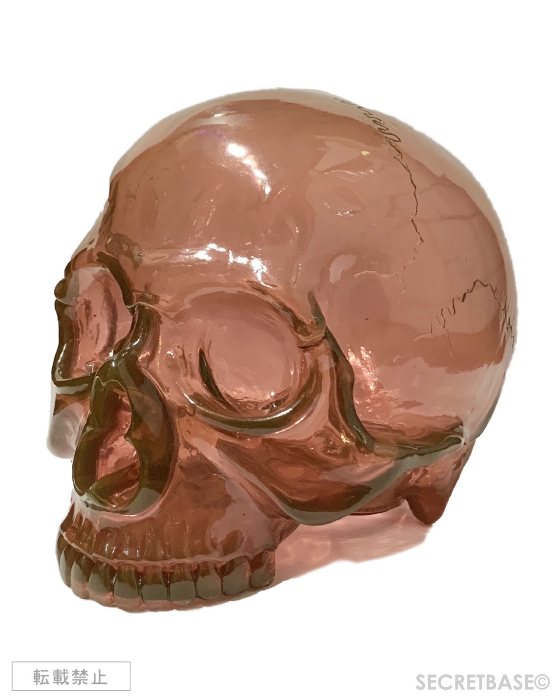 1/1 SKULL HEAD CLEAR REDDISH BROWN - SECRET BASE ONLINE STORE