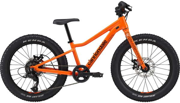 Cannondale Trail Plus 20 - Trailhead Cycling | Champlin