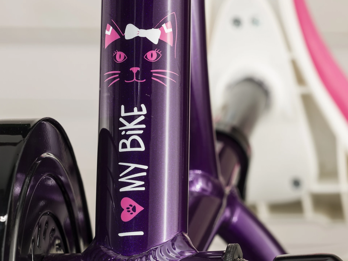 Trek Precaliber 16 - Planet Bike East Brunswick Matawan / Old Bridge