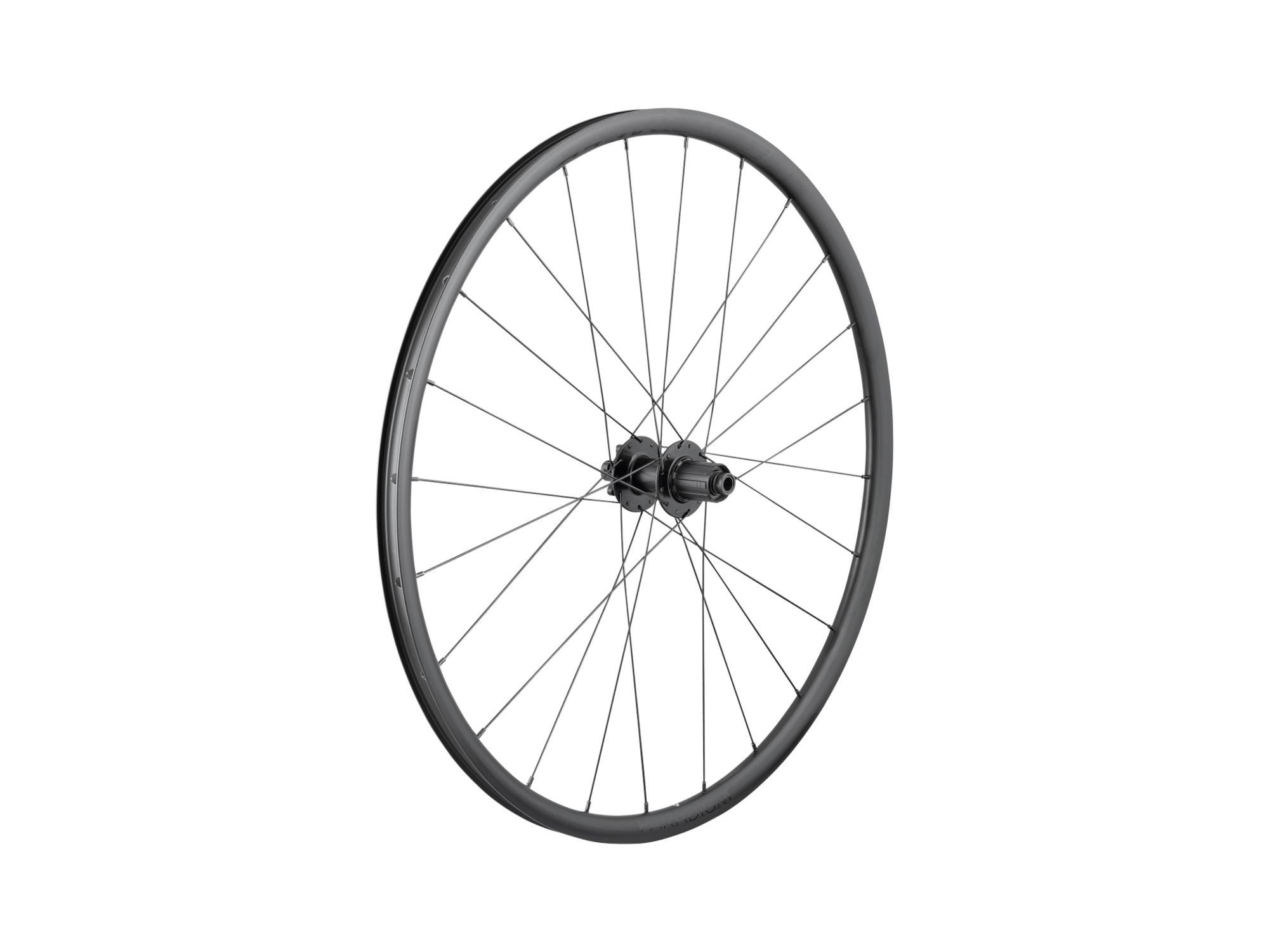 Bontrager Paradigm SL 6-Bolt Disc 24H 700c Road Rear Wheel