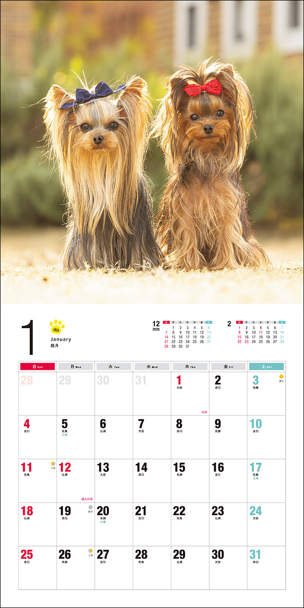2026年カレンダー ヨークシャー・テリア | 株式会社誠文堂新光社