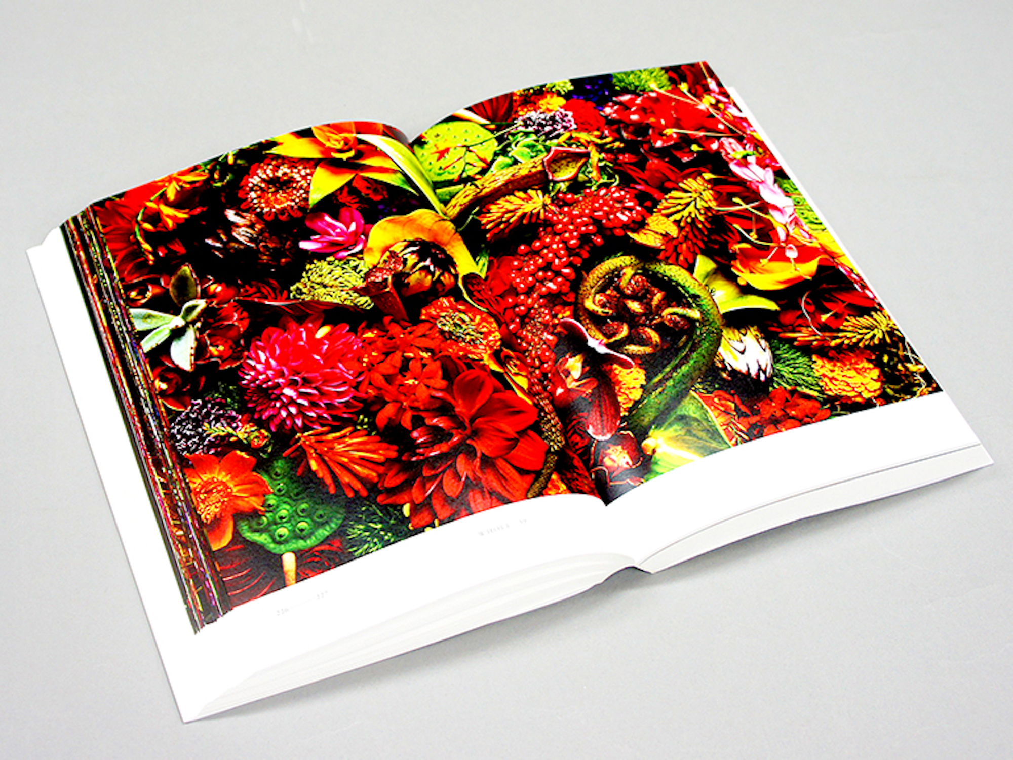 ENCYCLOPEDIA OF FLOWERS Ⅲ 植物図鑑｜青幻舎 SEIGENSHA Art