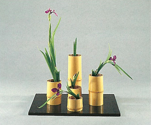 受付終了】「燕子花専科」レッスン9 開講のお知らせ - いけばな嵯峨御