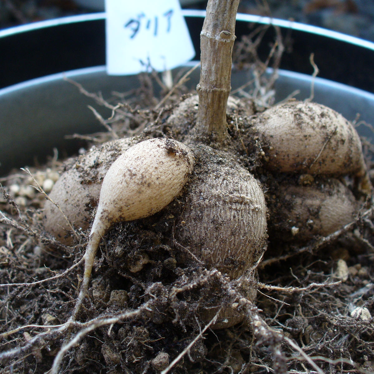 img_cache_r_30421_c_1713010926