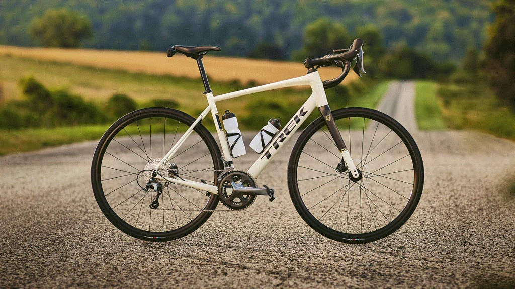 2025 TREK Domane AL 2 Gen 4 (¥149,000) | スターバイクス