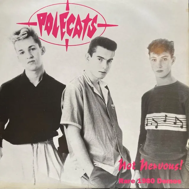 POLECATS / NOT NERVOUS! [LP - NVLP4]：PUNK / HARDCORE：アナログ