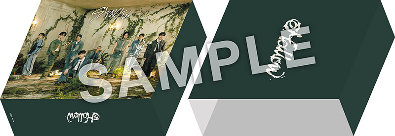 Stray Kids『Hollow』Special Site