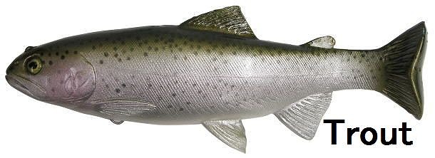 LURE SHOP SUBMARINE / フィッシュアロー ハドルストン ハドルトラウト