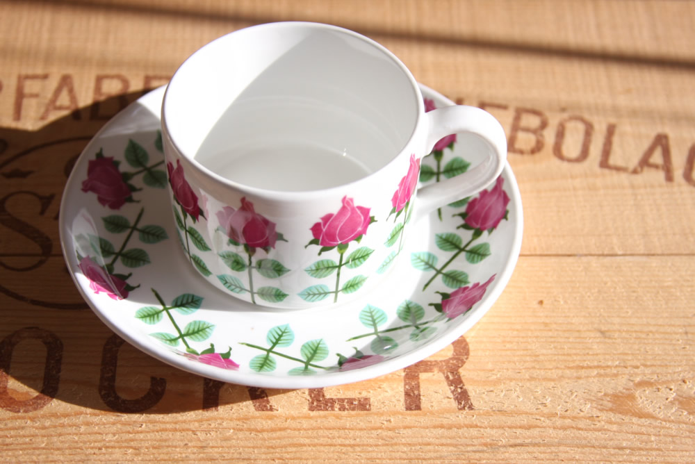 Gustavsberg グスタフスベリ Pyntaピンタティーカップ＆ソーサー