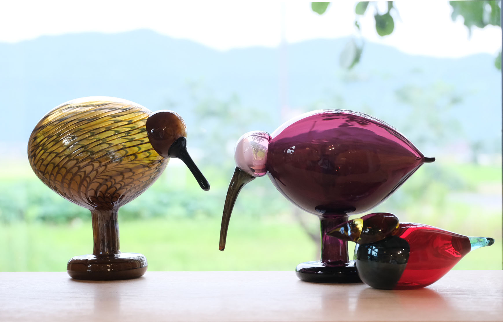 バード バイ トイッカ イッタラ バード バイ トイッカ トラフズク