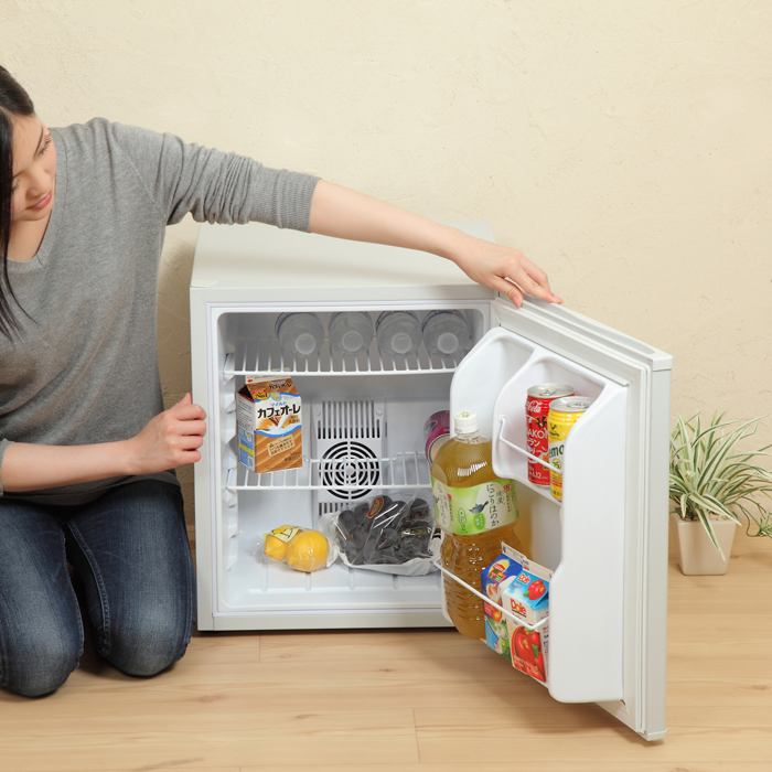 生産終了品】 ペルチェ式 48リットル 1ドア電子冷蔵庫 SR-R4803 | SunRuck