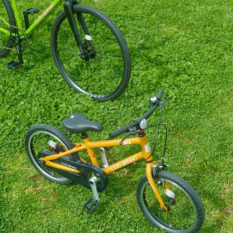 LOUIS GARNEAU（ルイガノ）2023年モデル K16lite （キッズ16ライト）