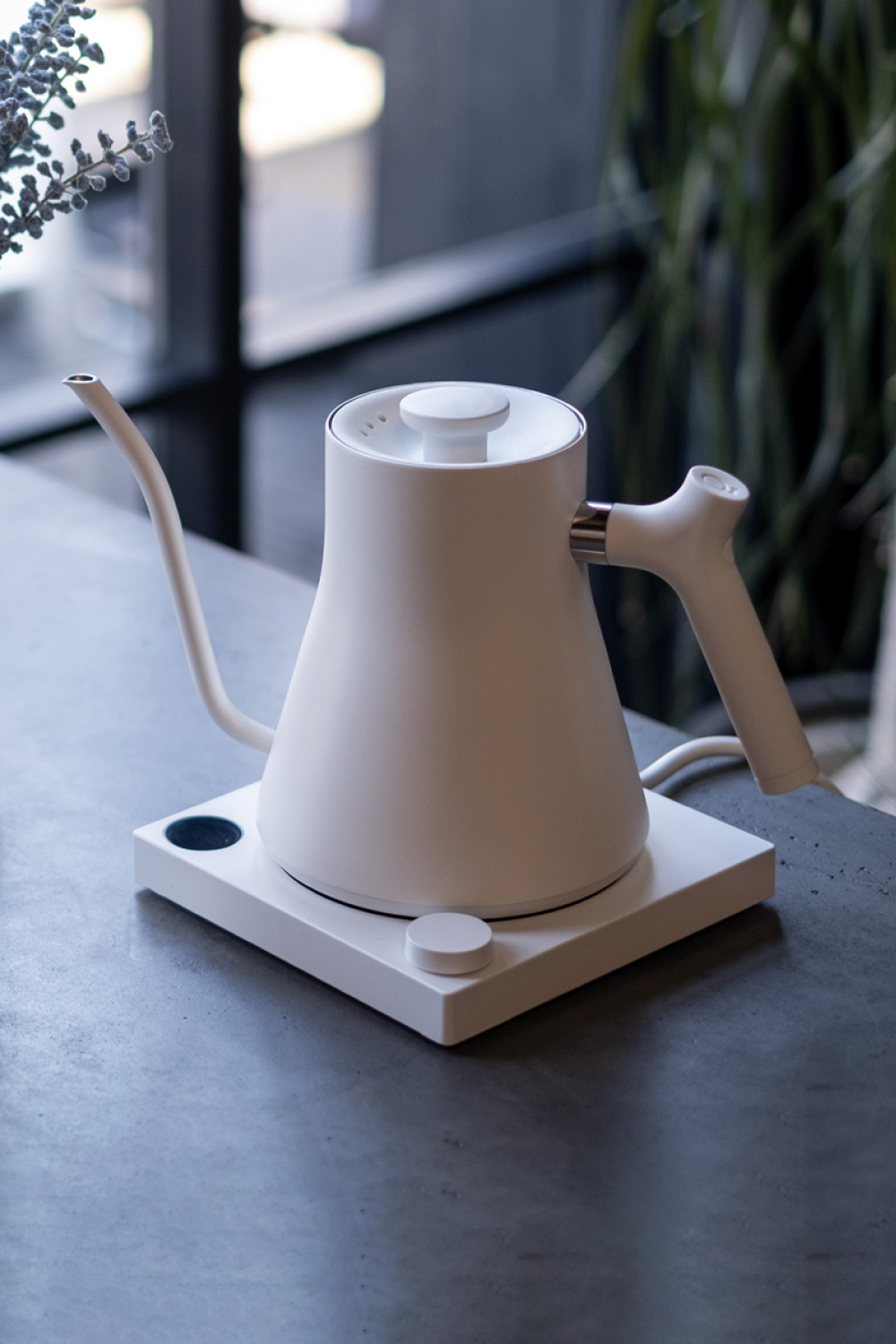 Fellow Stagg EKG 電気ケトル 白 - quoteunquote