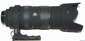 Sigma APO EX DG 50-500mm F4-6.3 Lens Reviews - Sigma Lenses