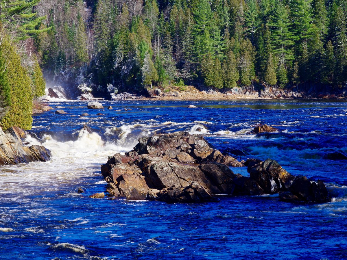 SMC Pentax 67 200mm F4 Reviews - 67 Telephoto Primes - Pentax Lens