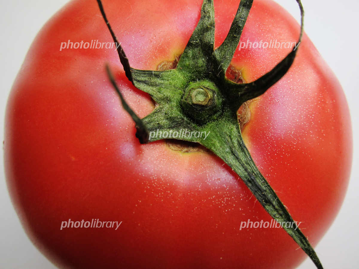 トマト上から見たアップ 写真素材 [1976681] - フォトライブラリー