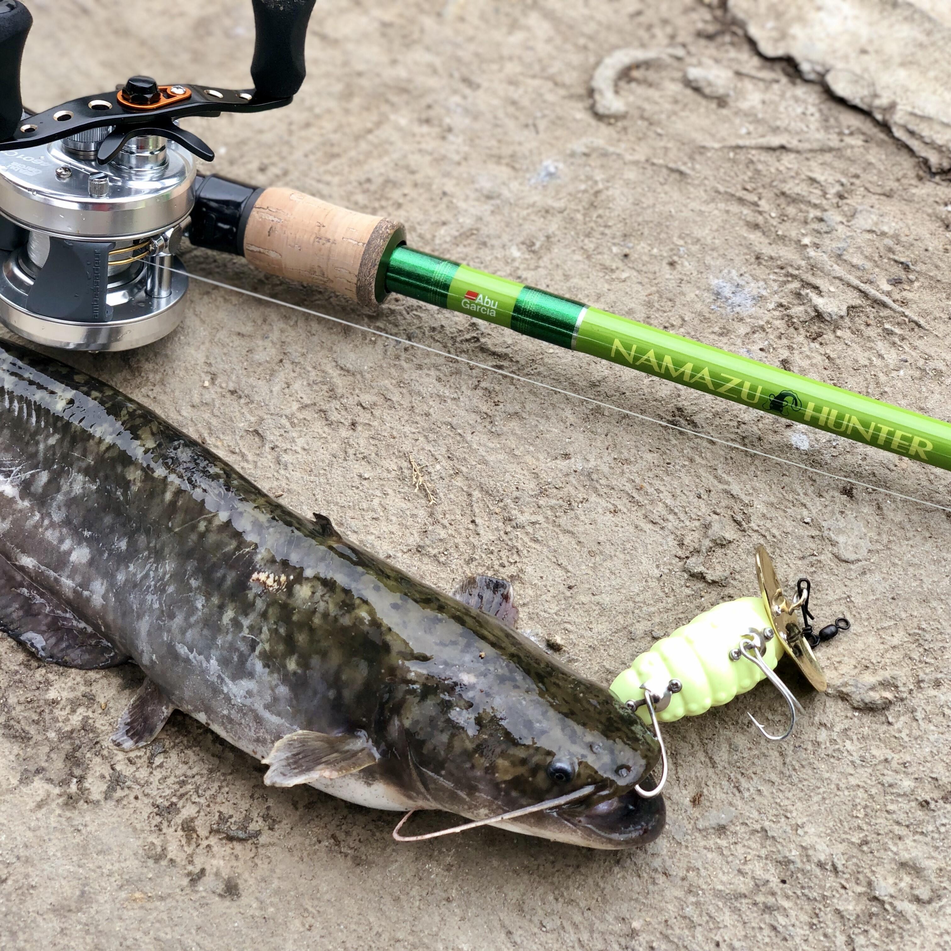 NAMAZU HUNTER（ナマズハンター）｜AbuGarcia｜釣具の総合メーカー