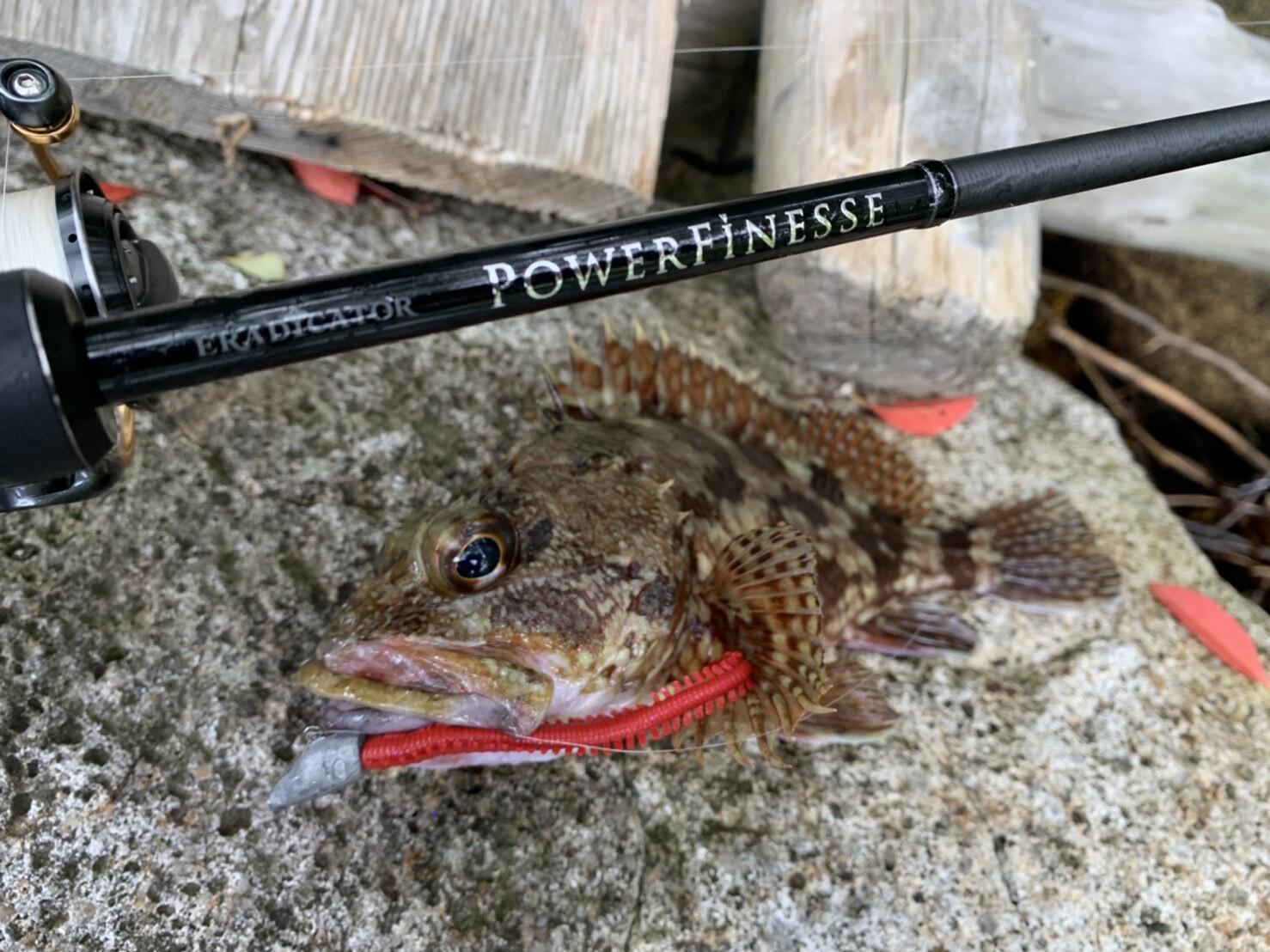 Eradicator Powerfinesse (エラディケーター パワーフィネス