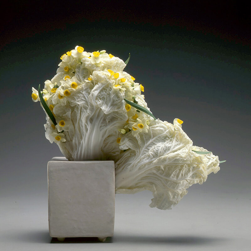 龍生派について - コンセプト - いけばな龍生派