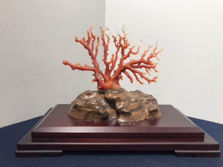 天然珊瑚 原木 買取価格相場｜骨董品買取 緑和堂