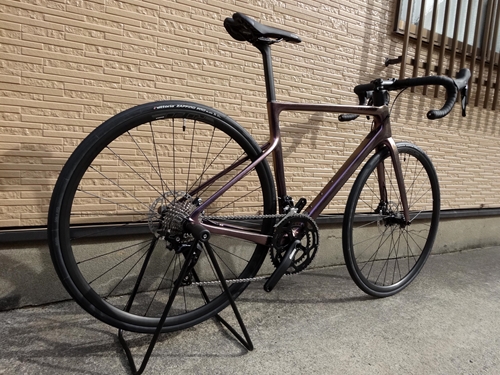 2021' SuperSix EVO Carbon Disc 105-(新潟の自転車のプロショップ