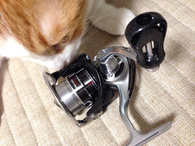 ダイワイグニス2003H タイプR(-ω☆) | オレの買い