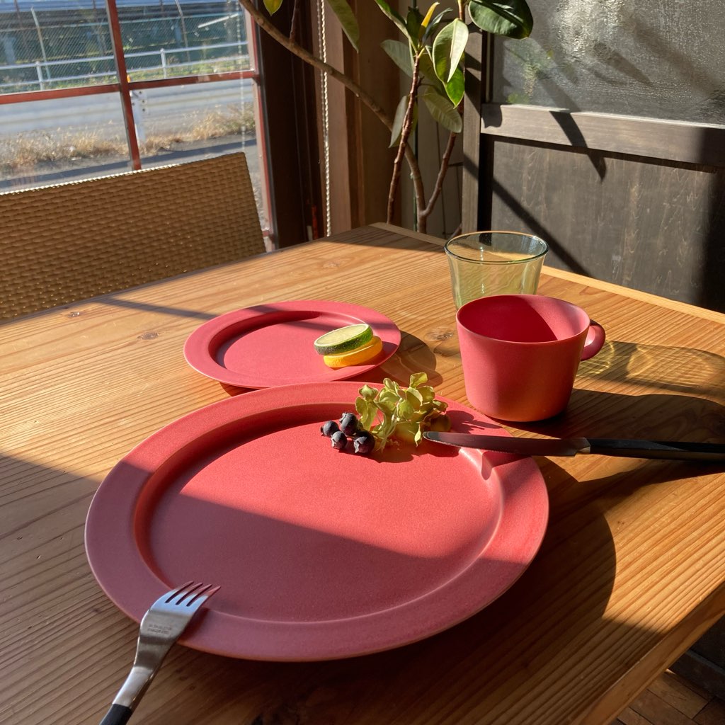 イイホシユミコ アンジュール / unjour カップ＆プレート2枚 3点セット