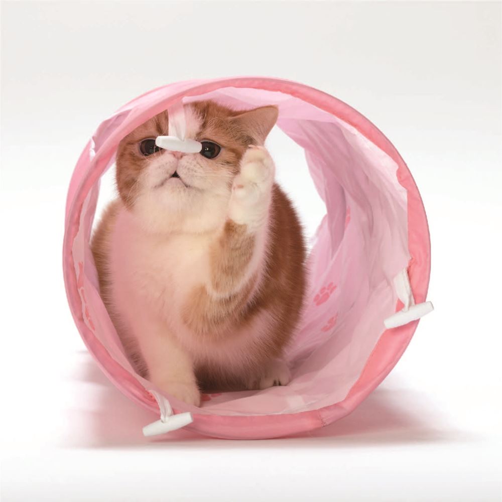 楽天市場】猫 トンネル 猫壱 キャットトンネル ピンク ブルー 猫用