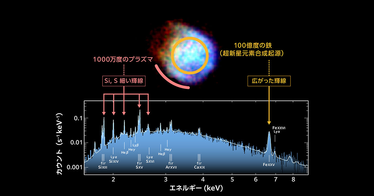 XRISMの初期科学成果：超新星残骸の超⾼温プラズマと巨⼤ブラック