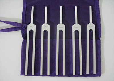 各脳波に対応・バイオソニックス社製ブレインチューナーセット5本入