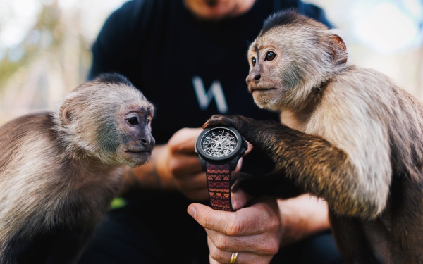 ノルケインと野生動物保護活動家のコラボレーションモデル「ワイルド