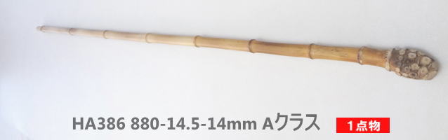 淡竹根付き釣竿製作用・和竿手元素材｜中細から中サイズ万能タイプ(2)