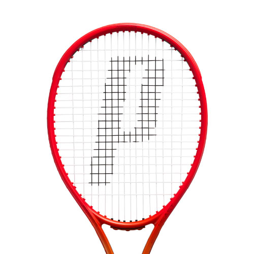 ウインザーオンラインショッププリンス ビースト 100 280g（prince